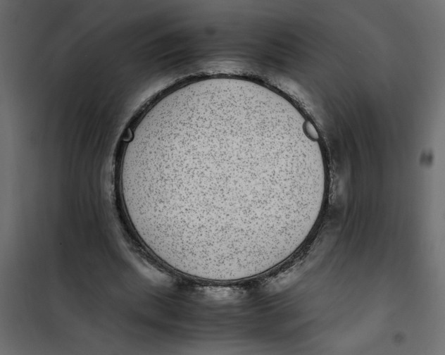 X0000101990439200808081640