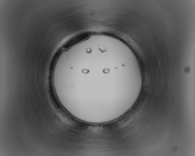 X0000101990440200808081640