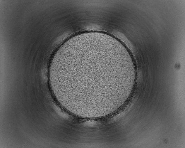 X0000101990441200808081640