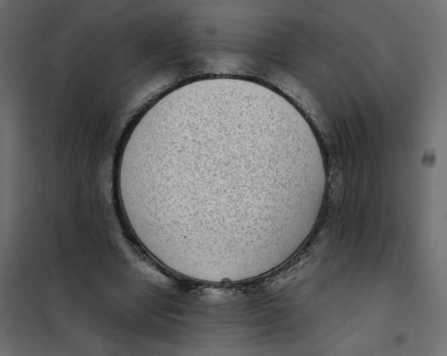 X0000101990442200808081640