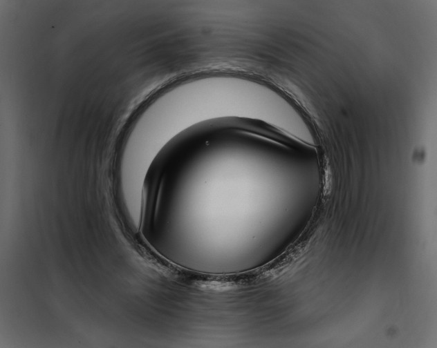 X0000101990444200808081640