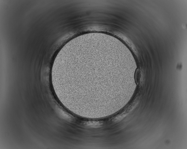 X0000101990445200808081640