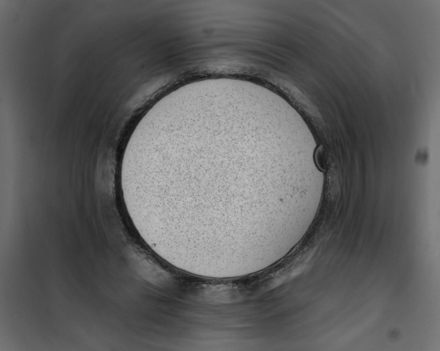 X0000101990446200808081640