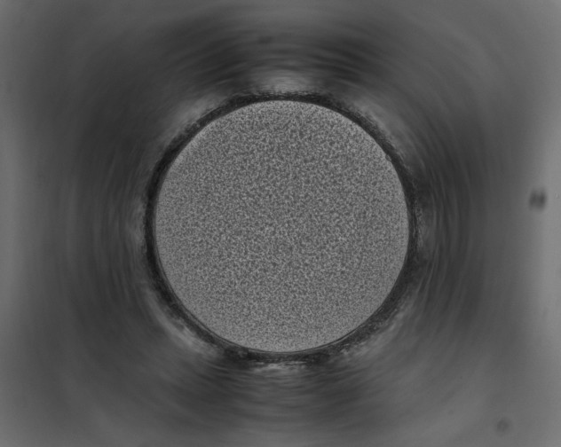 X0000101990447200808081640