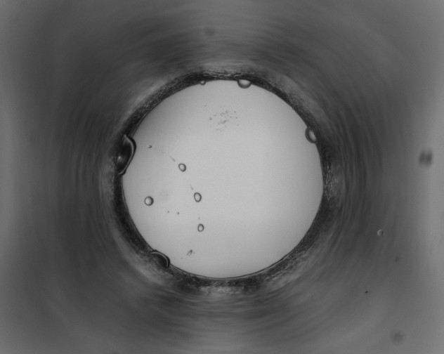 X0000101990448200808081640