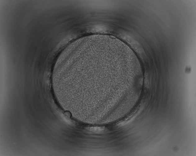 X0000101990449200808081640