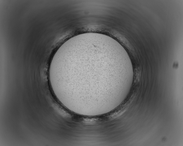 X0000101990450200808081640