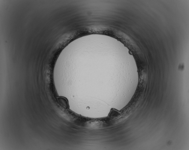 X0000101990452200808081640