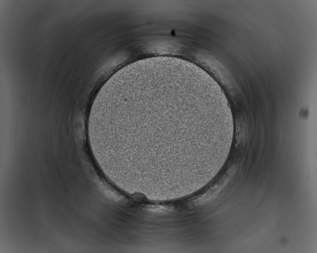 X0000101990453200808081640