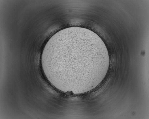 X0000101990454200808081640