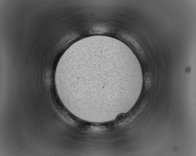 X0000101990455200808081640