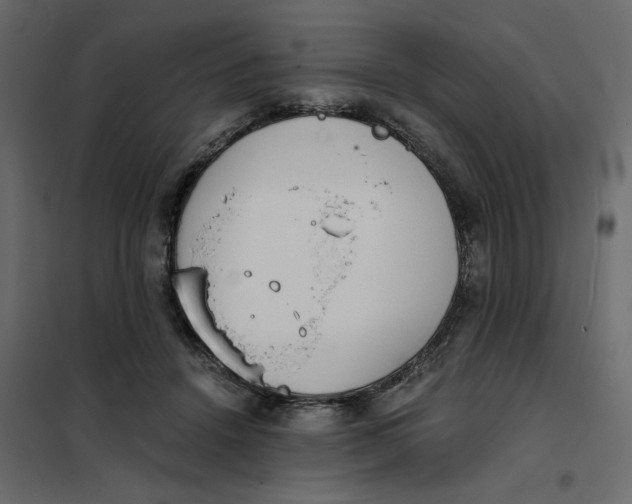 X0000101990456200808081640