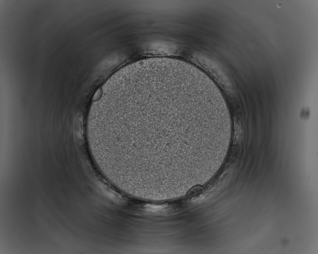 X0000101990457200808081640