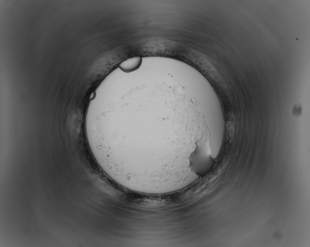 X0000101990458200808081640