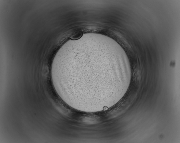 X0000101990459200808081640