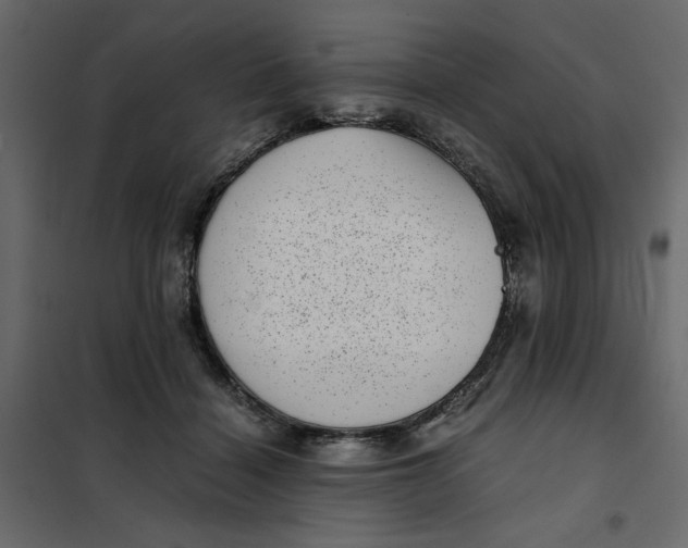 X0000101990460200808081640