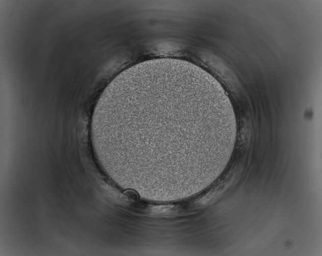 X0000101990461200808081640