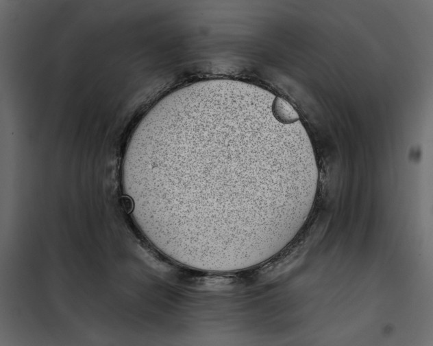 X0000101990462200808081640