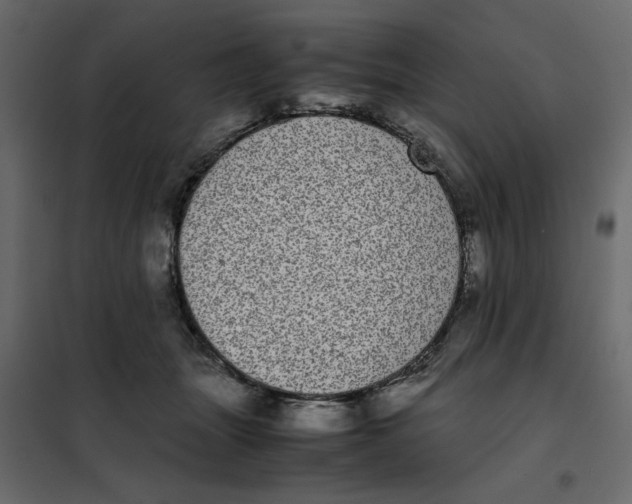 X0000101990463200808081640