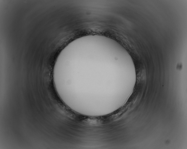 X0000101990464200808081640