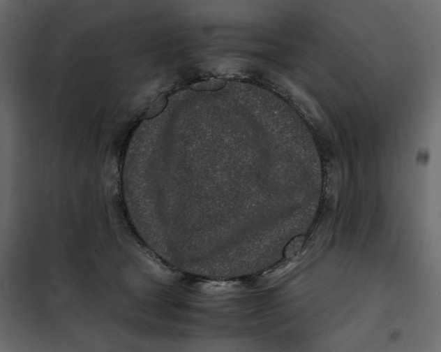 X0000101990465200808081640