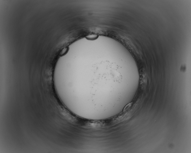 X0000101990466200808081640