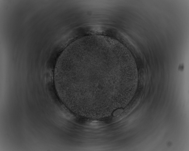 X0000101990467200808081640