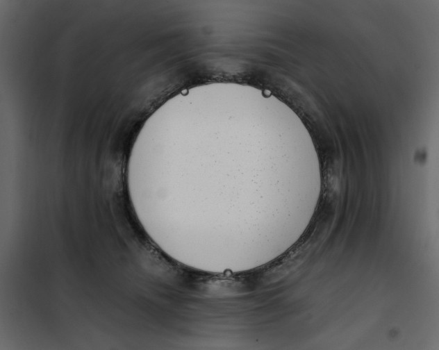 X0000101990468200808081640