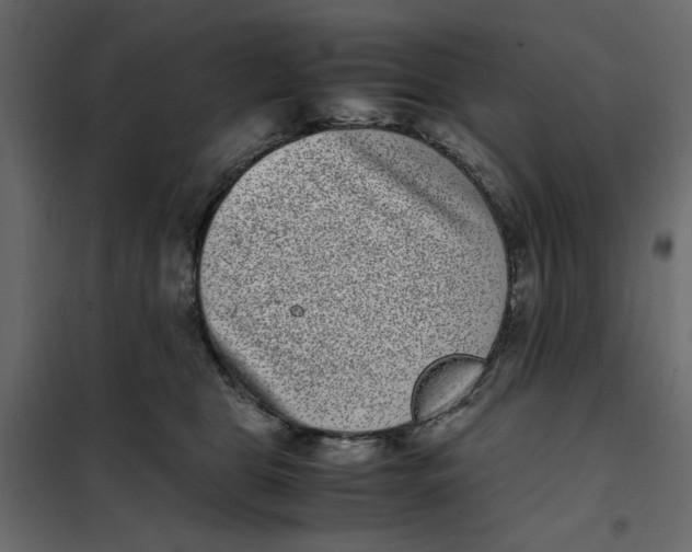 X0000101990469200808081640