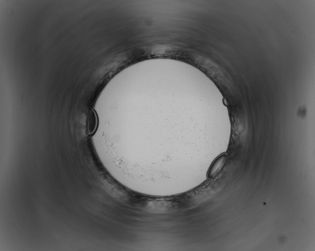 X0000101990470200808081640