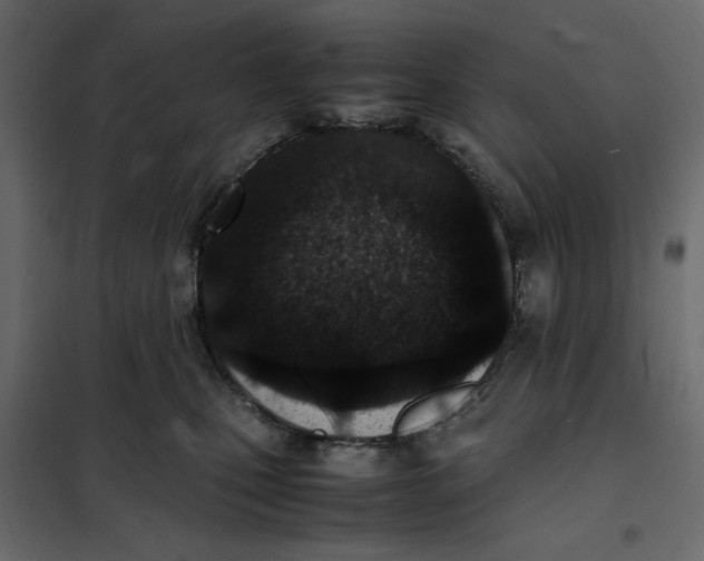 X0000101990471200808081640