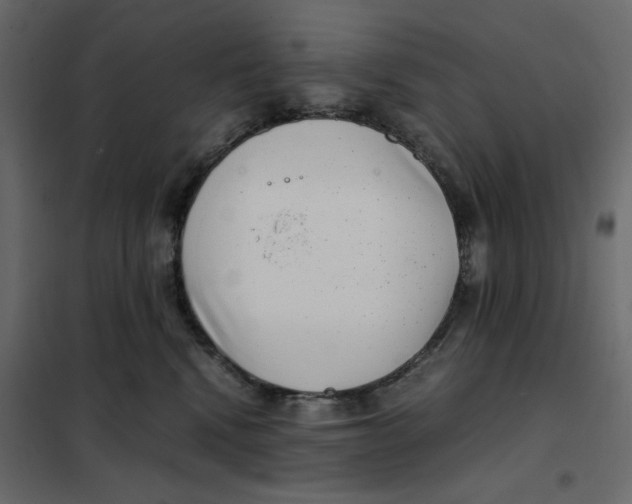 X0000101990472200808081640