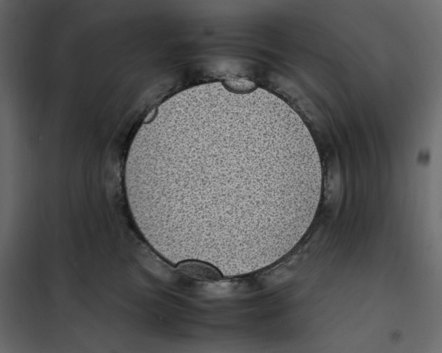 X0000101990473200808081640