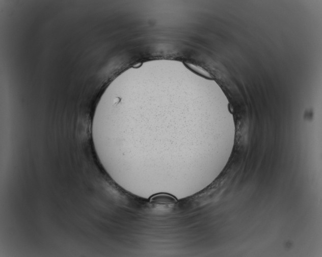 X0000101990474200808081640