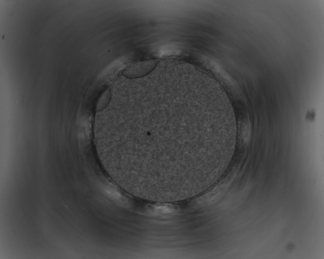 X0000101990475200808081640