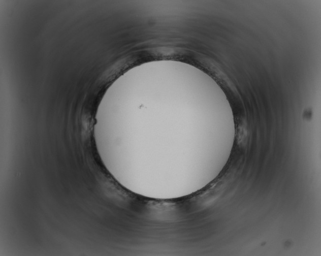 X0000101990476200808081640