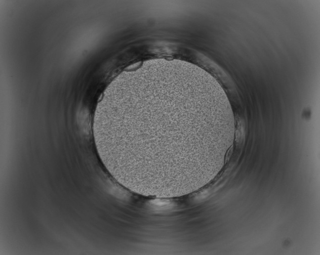 X0000101990477200808081640