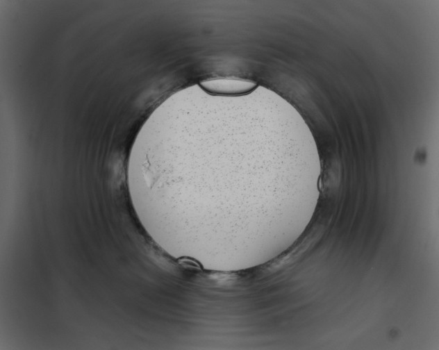 X0000101990478200808081640