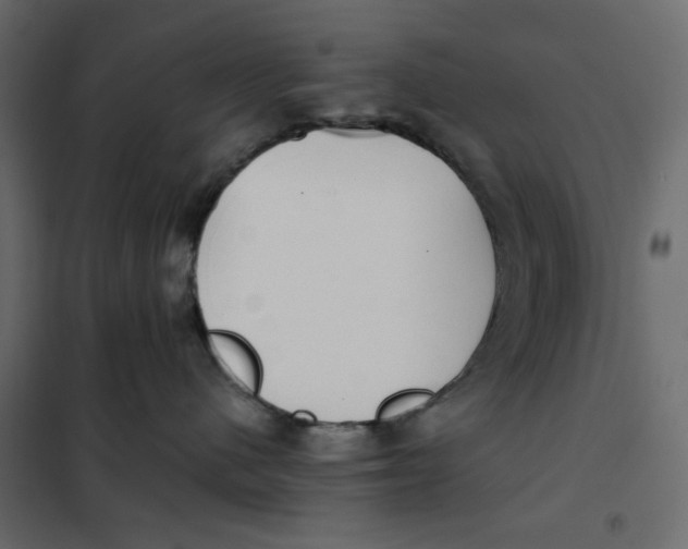 X0000101990480200808081640