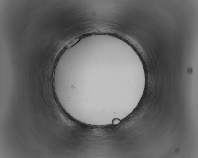 X0000101990481200808081640