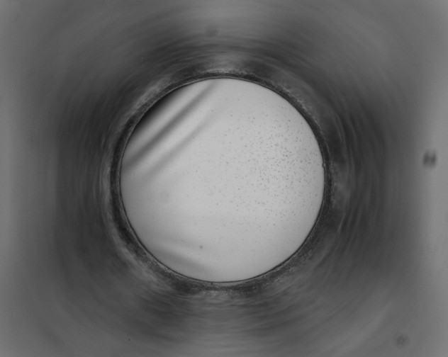 X0000101990482200808081639