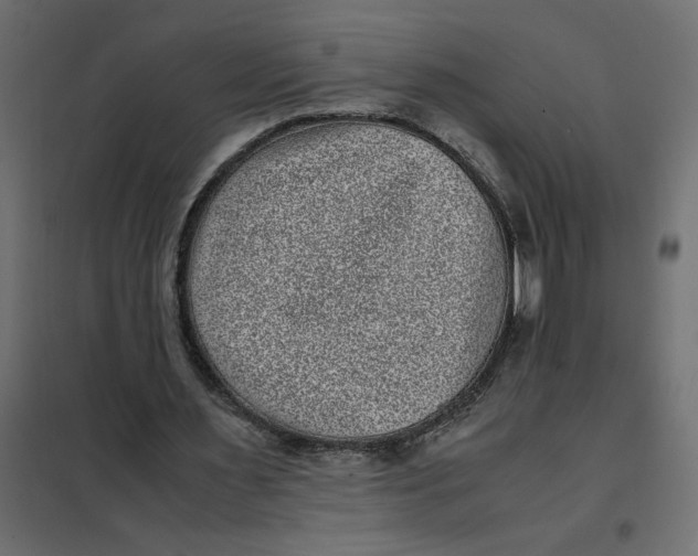 X0000101990483200808081639