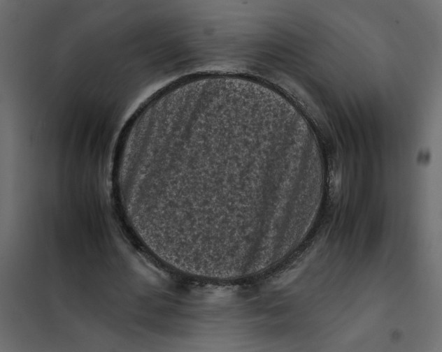 X0000101990484200808081639