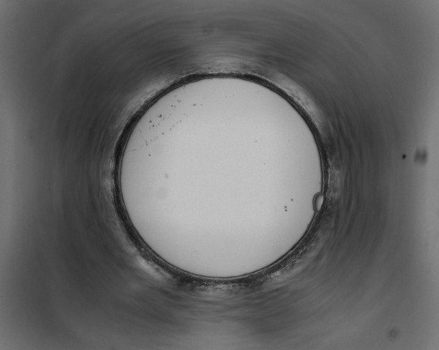 X0000101990485200808081639