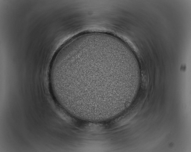 X0000101990487200808081639