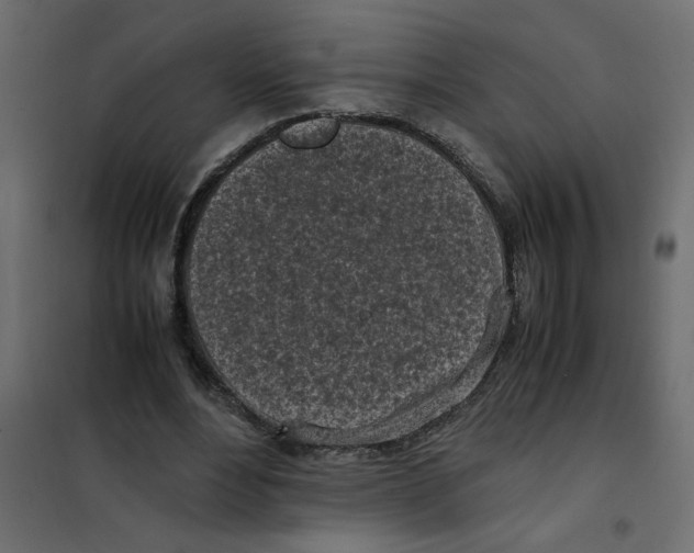 X0000101990488200808081639