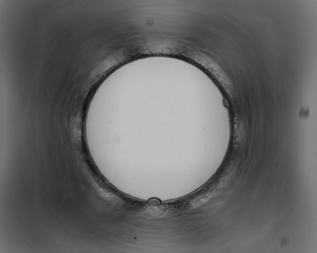 X0000101990489200808081639