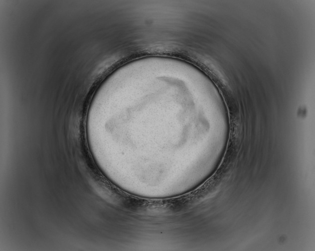 X0000101990491200808081639