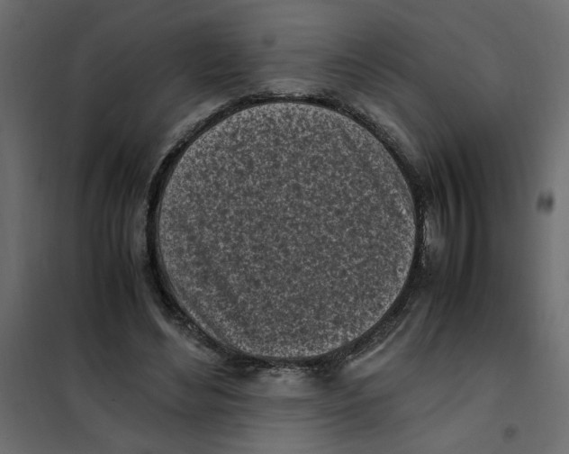 X0000101990492200808081639