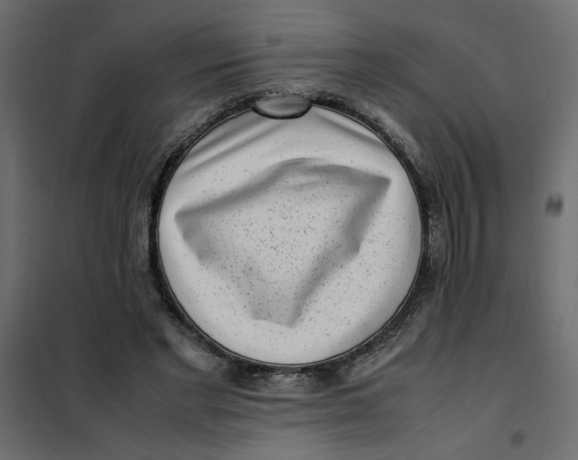 X0000101990493200808081639